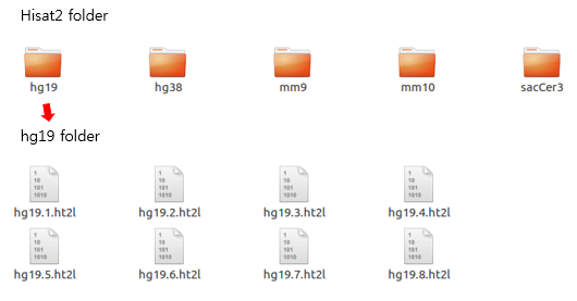 _images/3.Hisat2_folder.png
